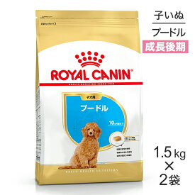 【最大350円オフクーポン■要事前取得】【1.5kg×2袋】ロイヤルカナン プードル 子犬用 (犬・ドッグ) [正規品]