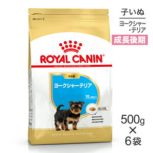 yő400~ItN[|vO擾zy500g×6܁zCJi BHN [NV[eA qp 10܂ (EhbO)[Ki]