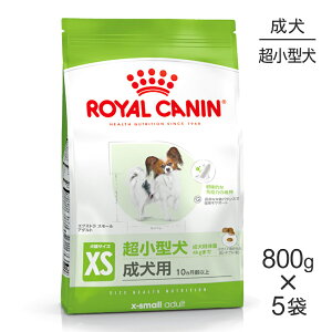 yő400~ItN[|vO擾zy800g×5܁zCJi SHN GNXg X[ A_g ^ p 10ȏ (EhbO)[Ki]