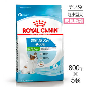 y1ő100%|CgvGg[zy800g×5܁zCJi SHN GNXg X[ ps[ ^ ̎qp 10܂ (EhbO)[Ki]