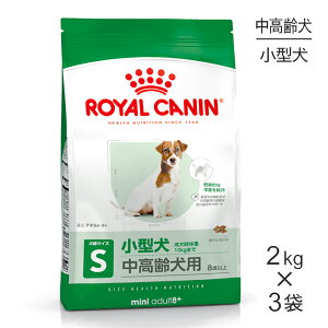 y1ő100%|CgvGg[zy2kg×3܁zCJi SHN ~j A_g 8+ ^ Ep 8Έȏ (EhbO)[Ki]