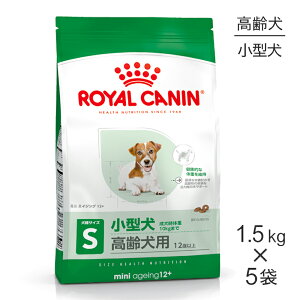 yő400~ItN[|vO擾zy1.5kg×5܁zCJi SHN ~j GCWO 12+ ^ p 12Έȏ (EhbO)[Ki]