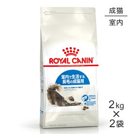【2kg×2袋】ロイヤルカナン インドアロングヘアー (猫・キャット)[正規品]