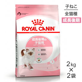 【2kg×2袋】ロイヤルカナン キトン 成長後期の子猫用 (猫・キャット) [正規品]