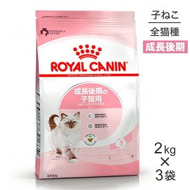 【マラソン中最大ポイント10倍※要エントリー】【2kg×3袋】ロイヤルカナン キトン 成長後期の子猫用 (猫・キャット) [正規品]