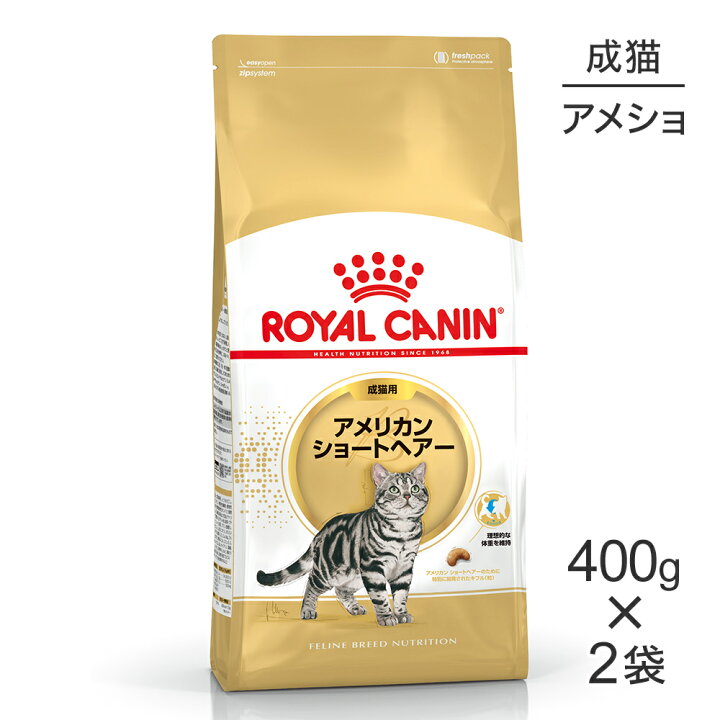 100 本物 ロイヤルカナン キャット アメリカンショートヘアー 正規品 猫 猫用品 100 本物 ロイヤルカナン キャット アメリカンショートヘアー 正規品 猫 猫用品