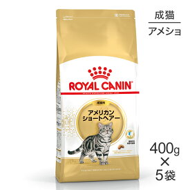 【400g×5袋】ロイヤルカナン アメリカンショートヘアー (猫・キャット)[正規品]