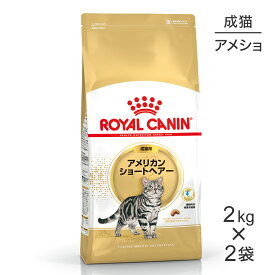 【2kg×2袋】ロイヤルカナン アメリカンショートヘアー (猫・キャット)[正規品]