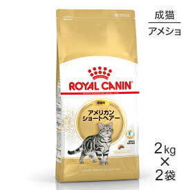 ■最大ポイント10倍【要エントリー】【2kg×2袋】ロイヤルカナン FBN アメリカン ショートヘアー 成猫用 生後12ヵ月齢から12歳まで (猫・キャット)[正規品]