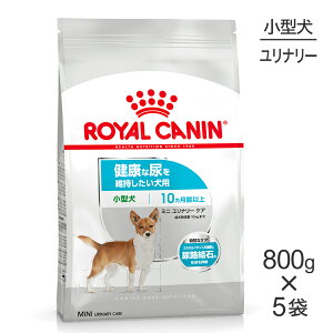 yő400~ItN[|vO擾zy800g×5܁zCJi CCN ~j i[ PA ^ NȔAێp 10ȏ (EhbO)[Ki]