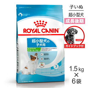 yKChubNtzy1.5kg×6܁zCJi SHN GNXg X[ ps[ ^ ̎qp 10܂ (EhbO)[Ki]