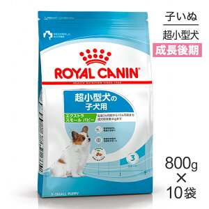 yő400~ItN[|vO擾zy800g×10܁zCJi SHN GNXg X[ ps[ ^ ̎qp 10܂ (EhbO)[Ki]