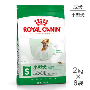 y1ő100%|CgvGg[zy2kg×6܁zCJi SHN ~j A_g ^ p 10ȏ (EhbO)[Ki]