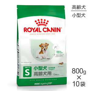 yő400~ItN[|vO擾zy800g×10܁zCJi SHN ~j GCWO 12+ ^ p 12Έȏ (EhbO)[Ki]