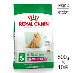 y1ő100%|CgvGg[zy800g×10܁zCJi SHN ~j ChA VjA Ő鏬^ Ep 8Έȏ (EhbO)[Ki]