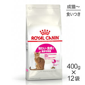 y1ő100%|CgvGg[zy400g×12܁zCJi FHN ZCo[ GNVWFg Hɂ肪鐬Lp 1212΂܂ (LELbg)[Ki]