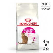 楽天市場】ロイヤルカナン 猫 腎臓サポート スペシャル 4kgの通販
