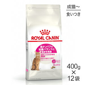 yő400~ItN[|vO擾zy400g×12܁zCJi FHN veC GNVWFg Hɂ肪鐬Lp 1212΂܂ (LELbg)[Ki]