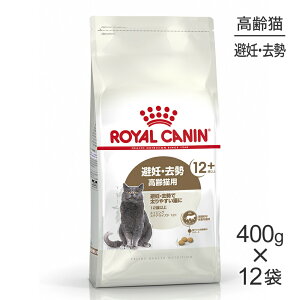 y400g×12܁zCJi FHN GCWO XeACYh 12+ DE Lp 12Έȏ (LELbg)[Ki]