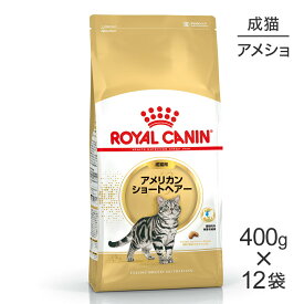 【400g×12袋】ロイヤルカナン アメリカンショートヘアー (猫・キャット)[正規品]