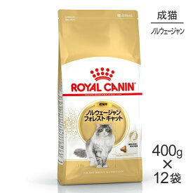 【最大350円オフクーポン■要事前取得】【400g×12袋】ロイヤルカナン ノルウェージャンフォレストキャット (猫・キャット) [正規品]