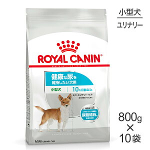 yő400~ItN[|vO擾zy800g×10܁zCJi CCN ~j i[ PA ^ NȔAێp 10ȏ (EhbO)[Ki]