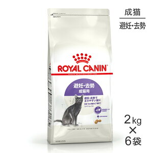 y2kg×6܁zCJi FHN XeACYh DE Lp 12ȏ (LELbg)[Ki]