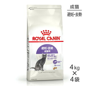 y4kg×4܁zCJi FHN XeACYh DE Lp 12ȏ (LELbg)[Ki]