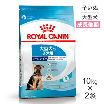 楽天市場】ロイヤルカナン マキシ パピーの通販