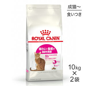 y1ő100%|CgvGg[zy10kg×2܁zCJi FHN ZCo[ GNVWFg Hɂ肪鐬Lp 1212΂܂ (LELbg)[Ki]