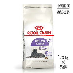 y1.5kg×5܁zCJi FHN XeACYh 7+ DE ELp 7΂12΂܂ (LELbg)[Ki]