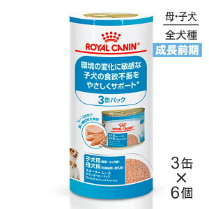 yő400~ItN[|vO擾zy195g×3×6zCJi SHN-WET X^[^[ [X }U[&xr[hbO O̎qp 2܂ ꌢp  (EhbO)[Ki]