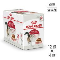 ■最大ポイント10倍【5/9〜要エントリー】【85g×48袋】ロイヤルカナン FHN-WET インスティンクティブ グ…