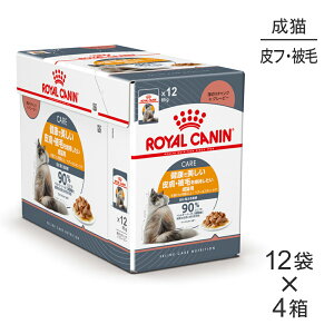 y85g×48܁zCJi FCN-WET wA[&XL PA 畆Eт̌NێLp 12ȏ pE` (LELbg)[Ki]