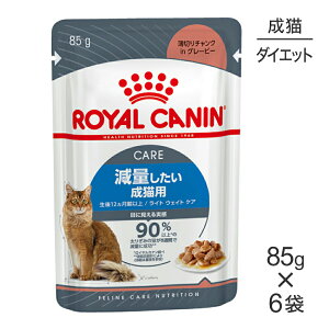 y[ցzy85g×6܁zCJi FCN-WET Cg EFCg PA O[r[ ʂLp 12ȏ pE` (LELbg)[Ki]