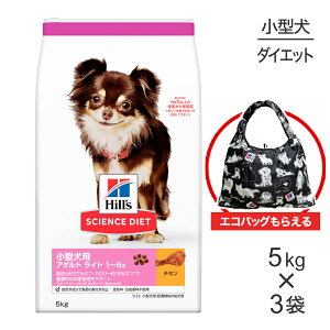 y5kg×3܁zqY TCGXE_CGbg ^p A_g Cg 1~6 얞X̐p `L GRobO܂t (EhbO)