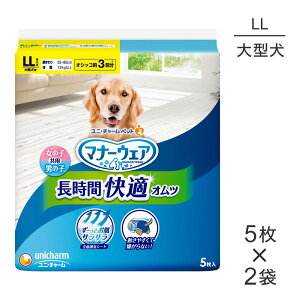 y1ő100%|CgvGg[zy5×2܁zjE`[ }i[EFA ԉKIc jp LLTCY ^p (EhbO)