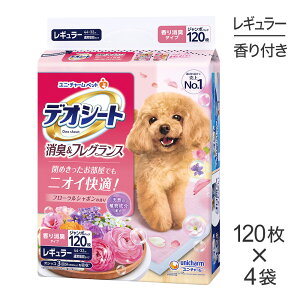 ő|Cg10{yvGg[zy120×4܁zjE`[ fIV[g L&tOX t[V{̍ M[ ybgV[c (EhbO)