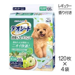 ő|Cg10{yvGg[zy120×4܁zjE`[ fIV[g L&tOX O[A}̍ M[ ybgV[c (EhbO)