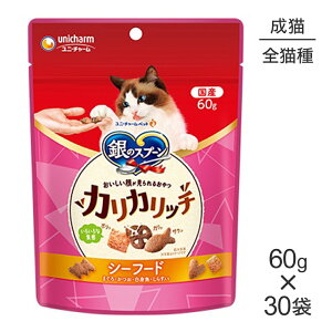 yő400~ItN[|vO擾zy60g×30܁zjE`[ ̃Xv[ 炪邨 JJb` Lp V[t[h (LELbg)