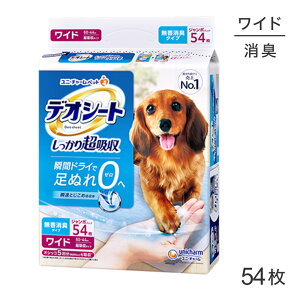 yő400~ItN[|vO擾zjE`[ fIV[g 蒴z L^Cv Ch ybgV[c 54 (EhbO)