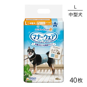 yő400~ItN[|vO擾zjE`[ }i[EFA j̎qp LTCY JXgCvECgu[W[Y pނ 40 (EhbO)