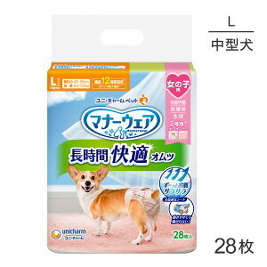 jE`[ }i[EFA ԉKIc ̎qp LTCY ^p 28 (EhbO)