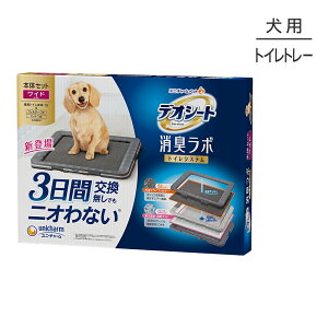 yő400~ItN[|vO擾zjE`[ fIV[g L{ gCVXe {̃Zbg Ch (EhbO)