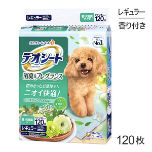 ő|Cg10{yvGg[zjE`[ fIV[g L&tOX O[A}̍ M[ ybgV[c 120 (EhbO)