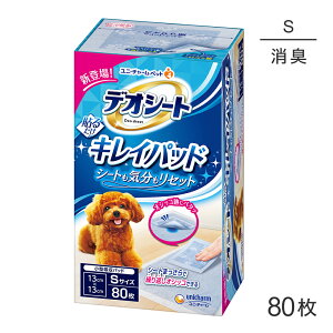 ő|Cg20{y12/1`vGg[zjE`[ fIV[g LCpbh ybgV[c STCY 80 (EhbO)