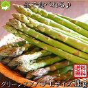 アスパラガス 北海道 富良野産 生で食べれる グリーンアスパラ 1kg Lサイズ 送料無料 ハウス栽培 別途送料が発生する…