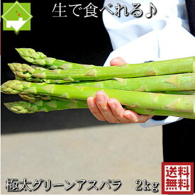 アスパラガス 北海道 富良野産 生で食べれる グリーンアスパラ 極太 2Lサイズ 2kg ハウス栽培 送料無料　別途送料が発生する地域あり