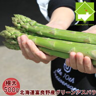 アスパラガス 北海道 富良野産 生で食べれる グリーンアスパラ 極太 2Lサイズ 500g ハウス栽培 送料無料…