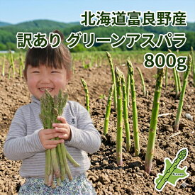 アスパラガス 北海道 富良野産 生で食べれる グリーンアスパラ 訳あり 800g SからLサイズ混合 送料無料 別途送料が発生する地域あり